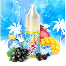 ribes-nero-mango-aroma-concentrato-fruizee-10ml