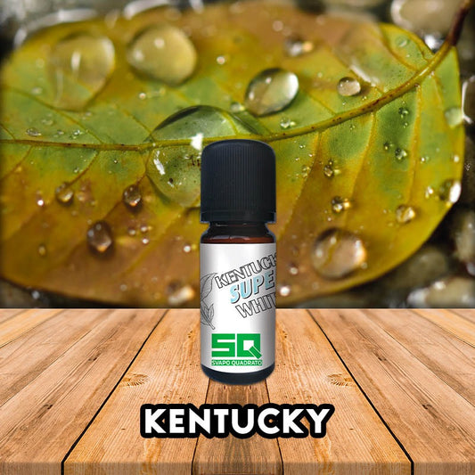 Kentucky H2o Mini shot 10+10 - Nuvola Rossa Vape Shop