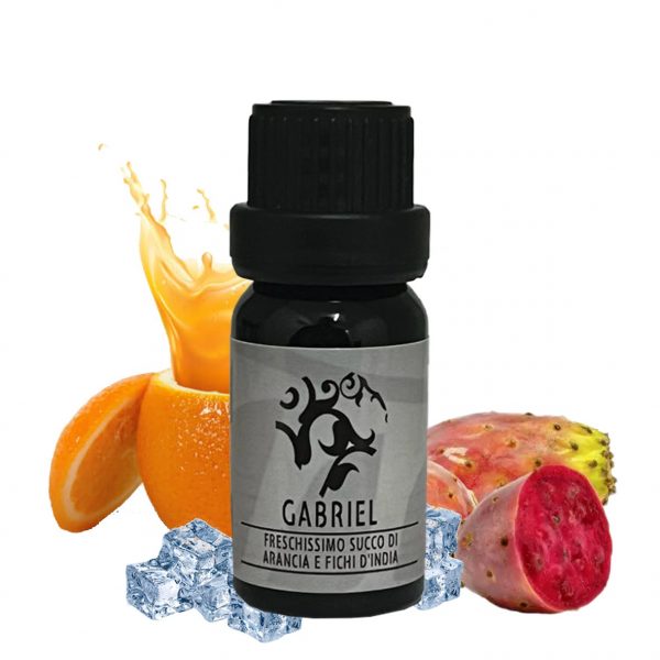 Holy Vape - GABRIEL - Aroma Concentrato 10 ml - Nuvola Rossa Vape Shop